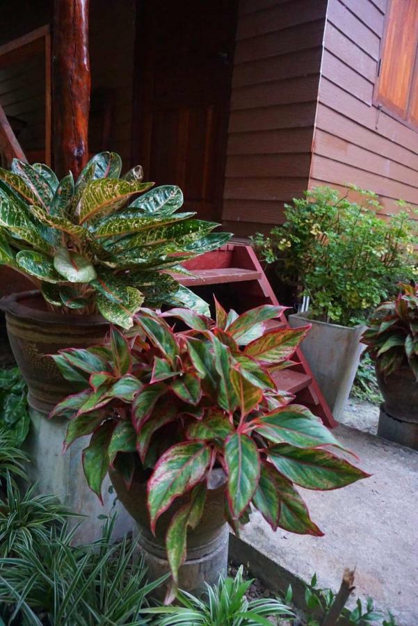 Lantacoconutgardenbungalow Apartment เกาะลันตา ภายนอก รูปภาพ
